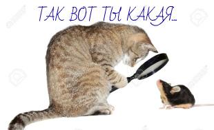 ОТНОШЕНИЯ